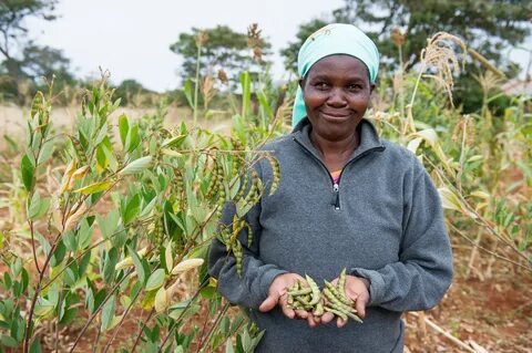 Makueni