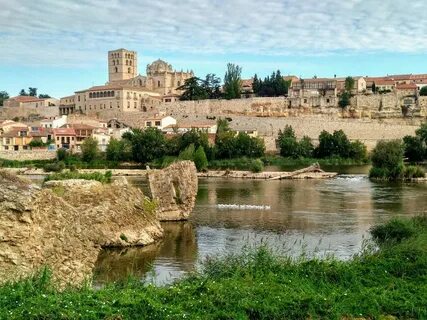 Zamora