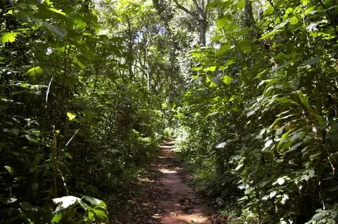 Kakamega