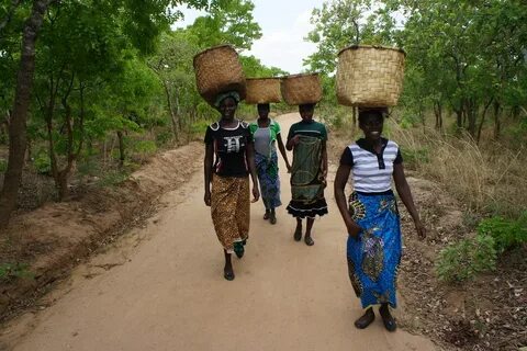 Lilongwe Bölgesi
