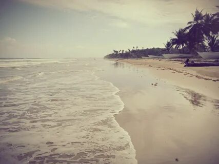Rio Claro-Mayaro Bölge Şirketi