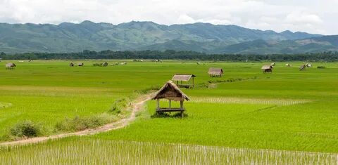 Luang Namtha Eyaleti