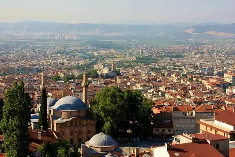 Bursa