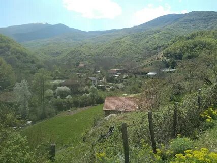 Zelenikovo Belediyesi