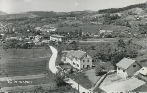 Oplotnika