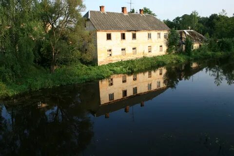 Dobele Belediyesi