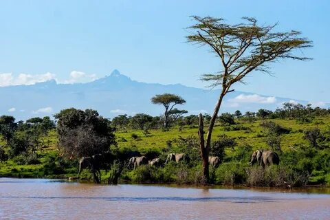 Kirinyaga