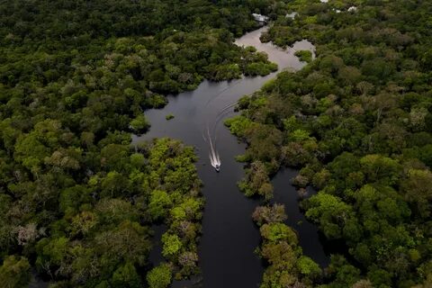 Amazonlar