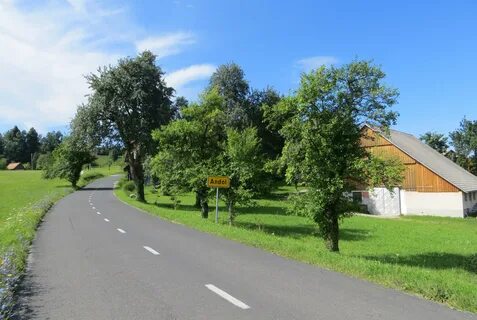 Ribnica na Pohorju Belediyesi