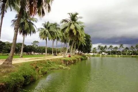 Thakurgaon Bölgesi
