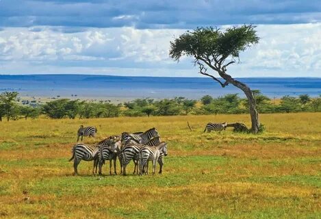 Kitui