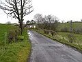 Coleraine İlçe Konseyi