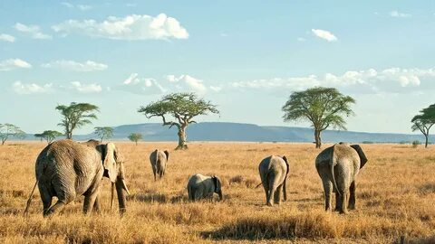 Songwe