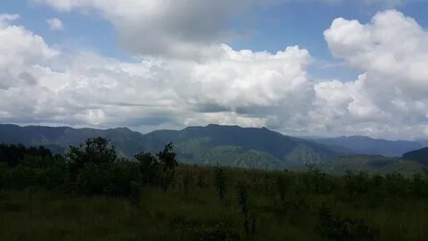 Yayla