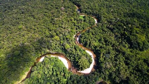Amazonlar
