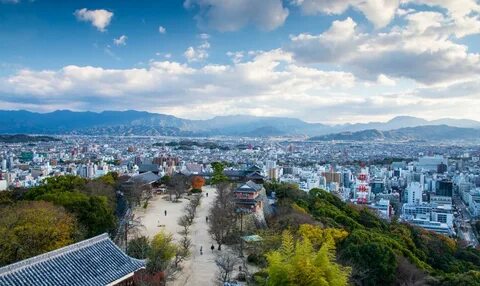 Ehime ili