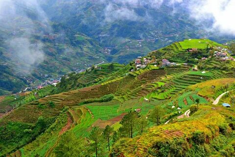 Cordillera İdari