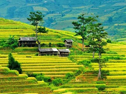 Bình Định
