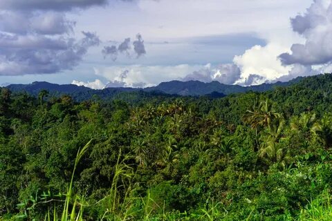 Morobe Eyaleti