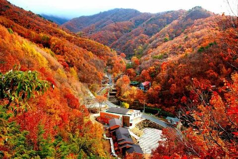 Kuzey Chungcheong Eyaleti