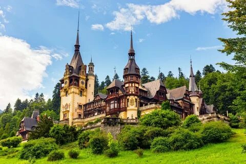 Bacău İlçesi