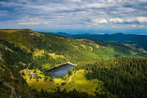 Vosges