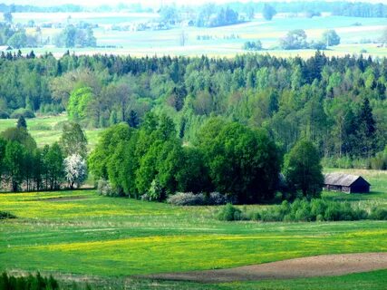 Prienai Bölge Belediyesi