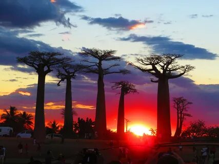 Toliara Eyaleti