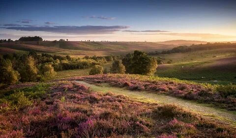 Hampshire
