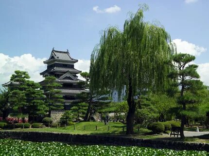 Nagano Eyaleti