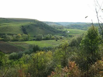 Ternopilska bölgesi