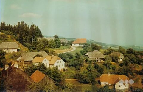 Vitanje Belediyesi