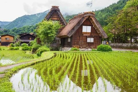Gifu İli