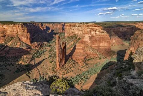Arizona