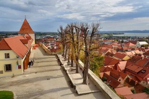Ptuj Şehir Belediyesi