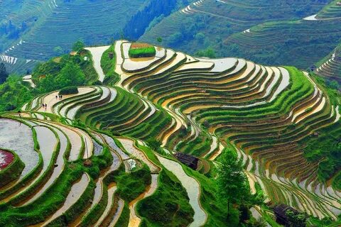 Guizhou