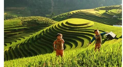 Điện Biên