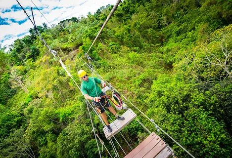 Orocovis