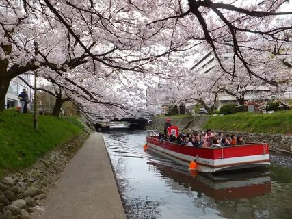 Toyama İli