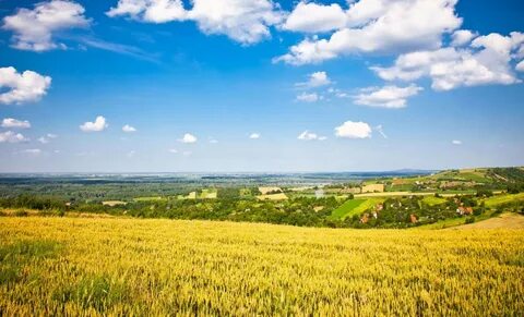 Voyvodina