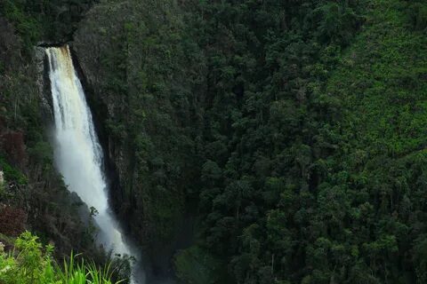 Huila