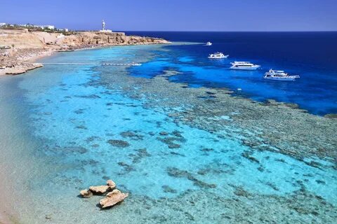 Kızıl Deniz