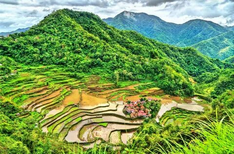 Ifugao