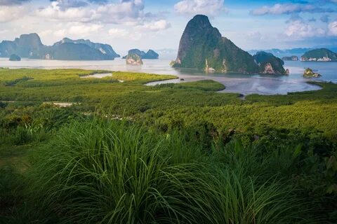 Phangnga