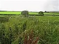 Larne İlçe Konseyi