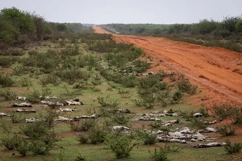 Wajir