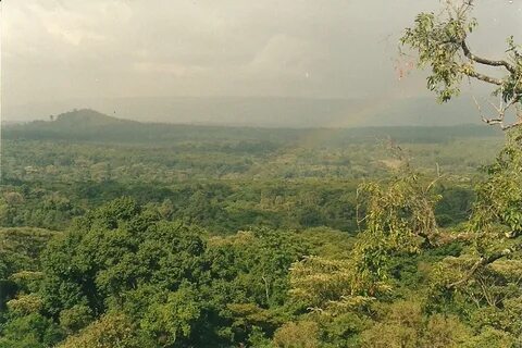 Kakamega
