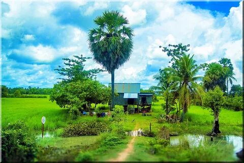Pailin