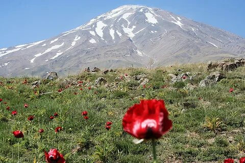 Alborz