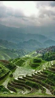 Ibb